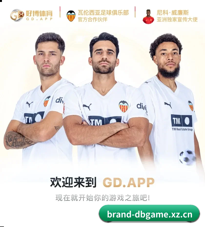 DB真人 APP